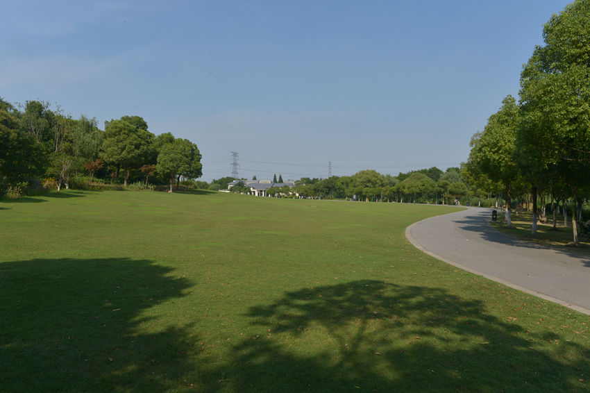 森林公園