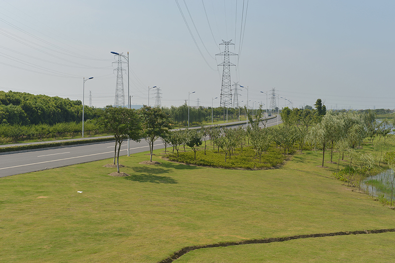 21-江浦南路南延景觀(guān)綠化工程