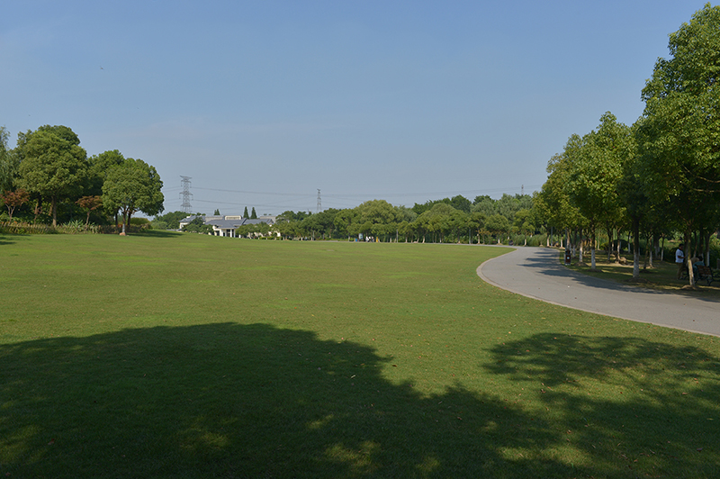 18-森林公園